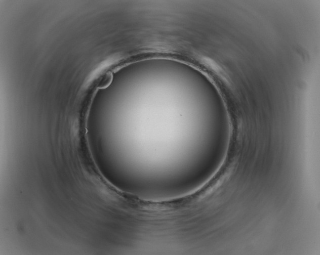 X0000114401307200910161307