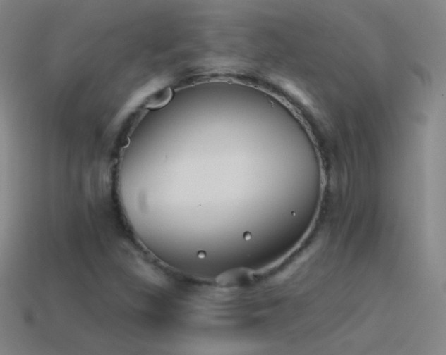 X0000114401309200910161307