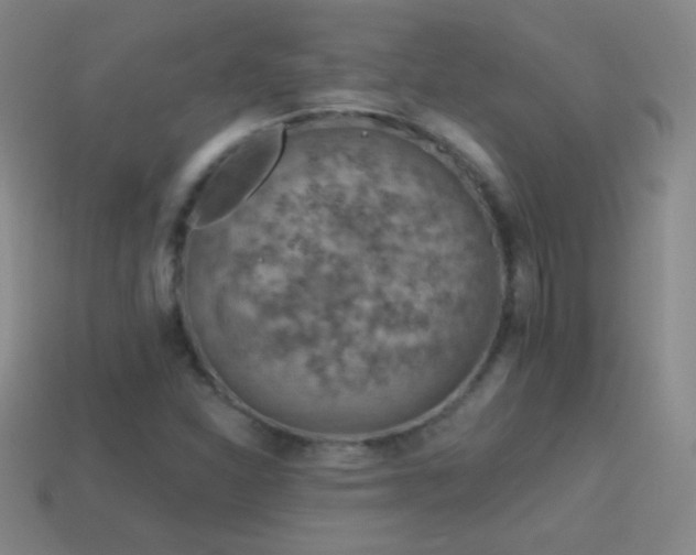 X0000114401310200910161307