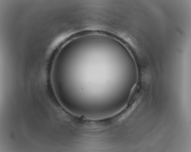 X0000114401311200910161307