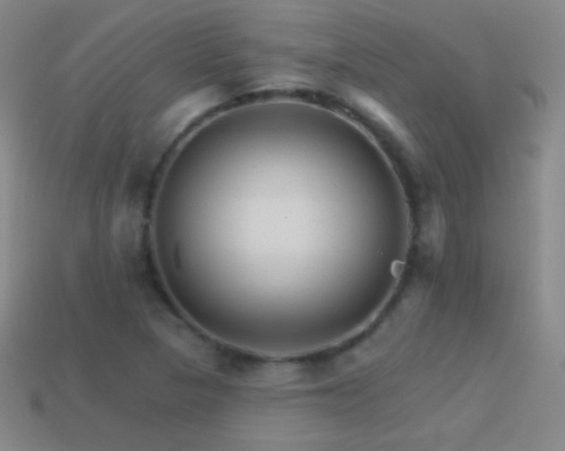 X0000114401313200910161307