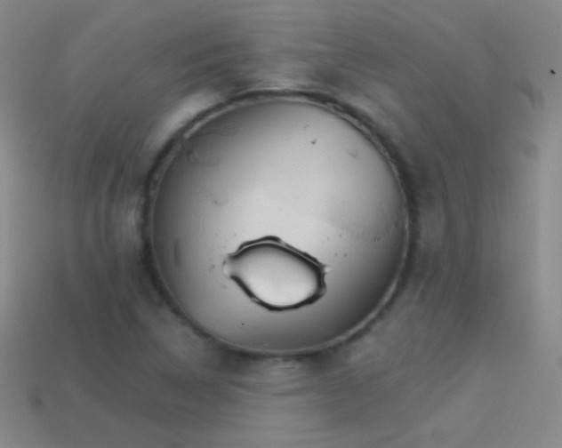 X0000114401314200910161307