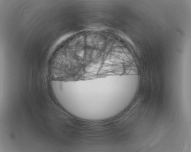 X0000114401315200910161307