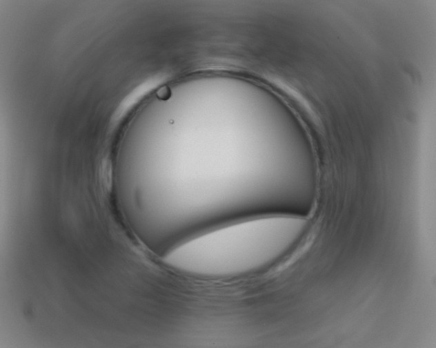 X0000114401317200910161307