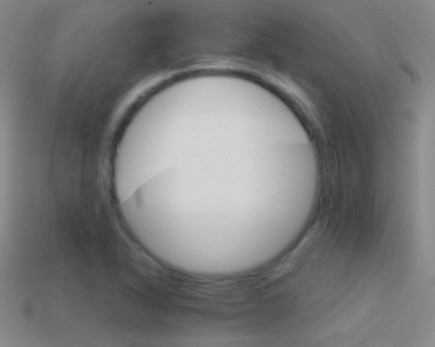 X0000114401318200910161307