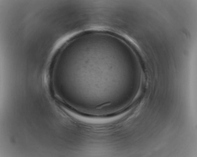 X0000114401319200910161307