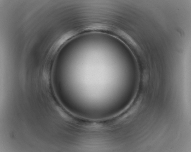 X0000114401321200910161307