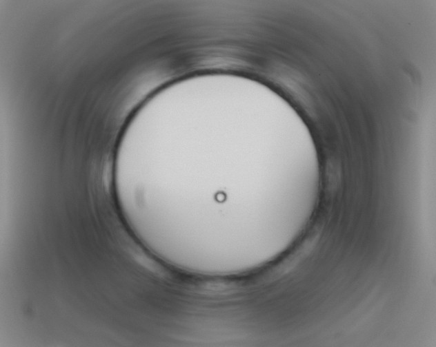 X0000114401322200910161307