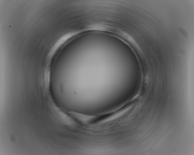 X0000114401323200910161307