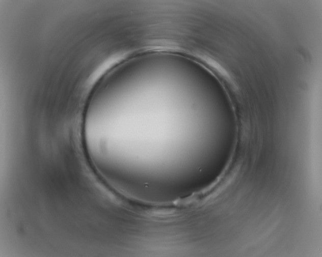 X0000114401325200910161307