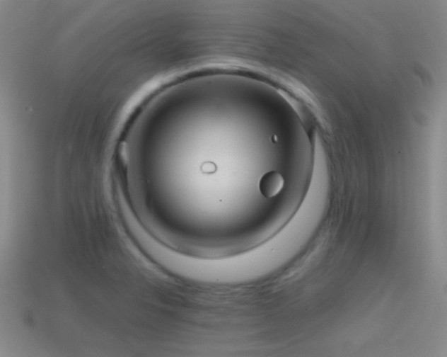 X0000114401326200910161307