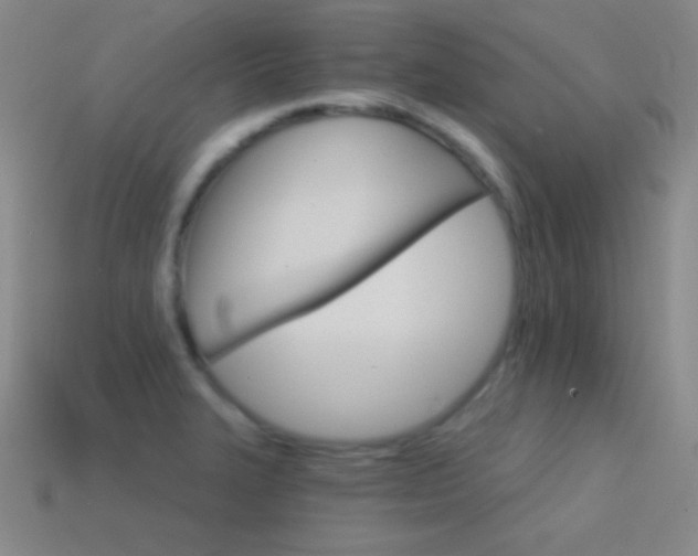 X0000114401327200910161307