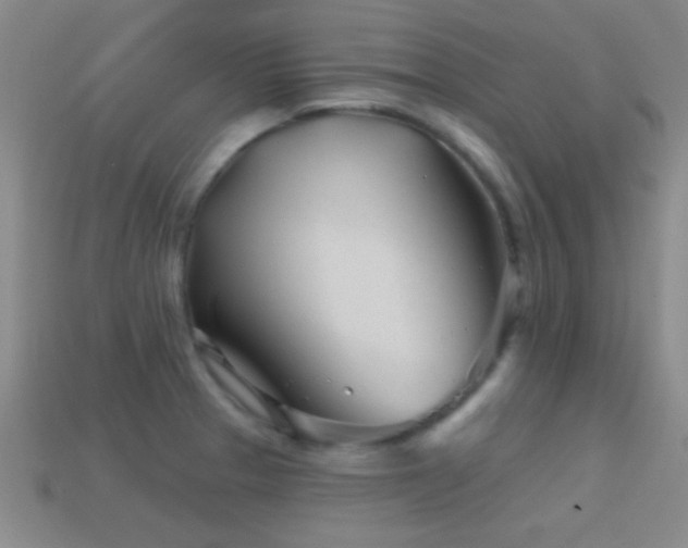 X0000114401329200910161307