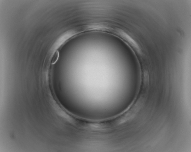 X0000114401330200910161307