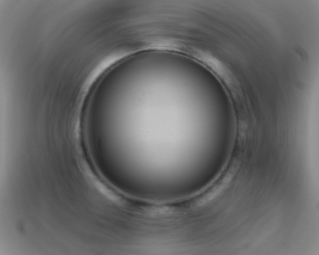 X0000114401331200910161307