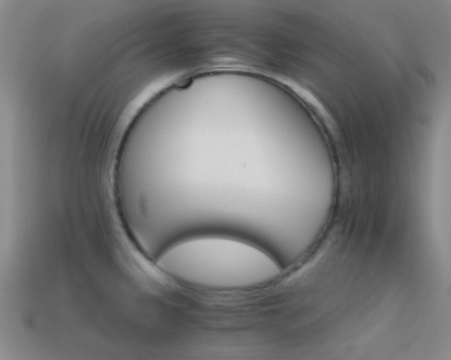 X0000114401333200910161307