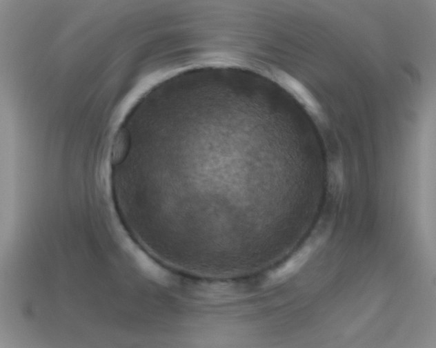 X0000114401334200910161307