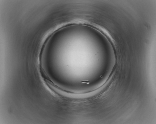 X0000114401335200910161307