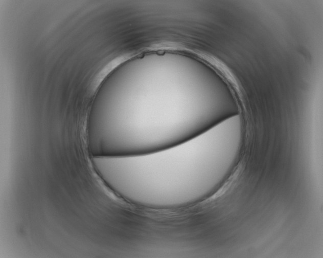 X0000114401337200910161307