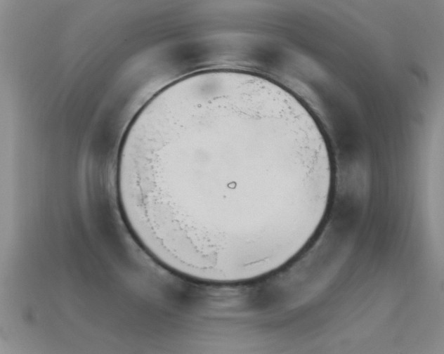 X0000114401338200910161307