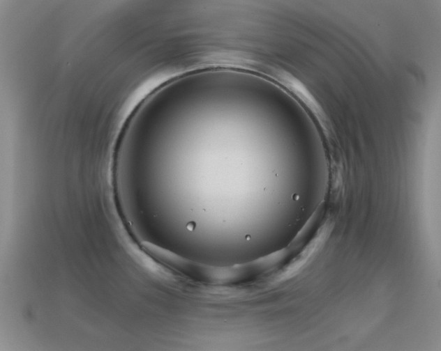 X0000114401339200910161307