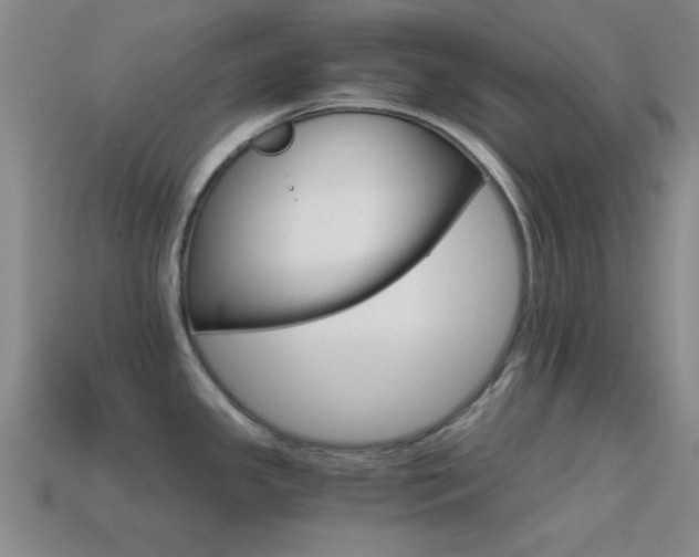 X0000114401341200910161307