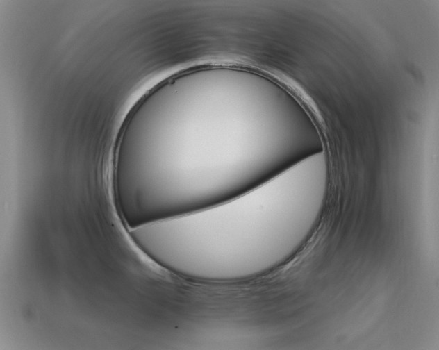 X0000114401343200910161307