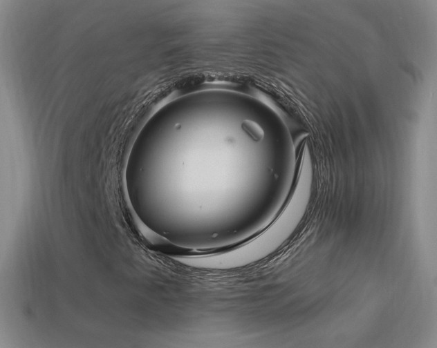 X0000114401345200910161306