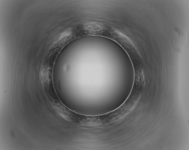 X0000114401346200910161306