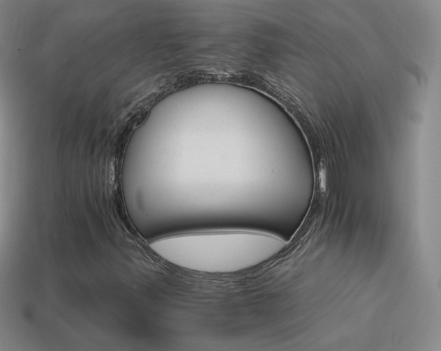 X0000114401347200910161306