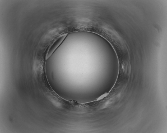 X0000114401348200910161306