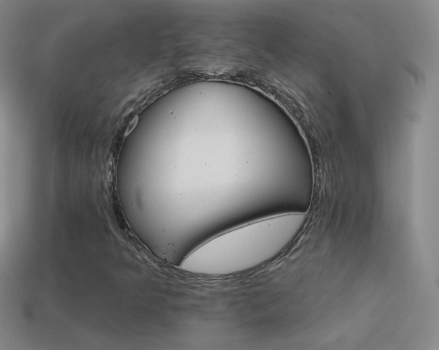 X0000114401349200910161306