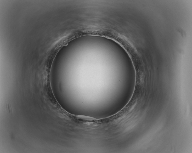 X0000114401350200910161306