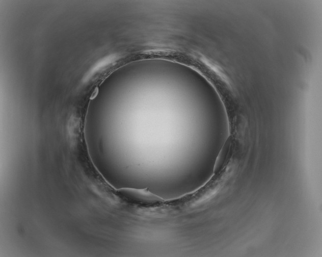 X0000114401351200910161306