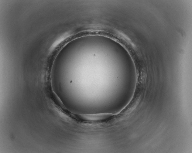 X0000114401352200910161306