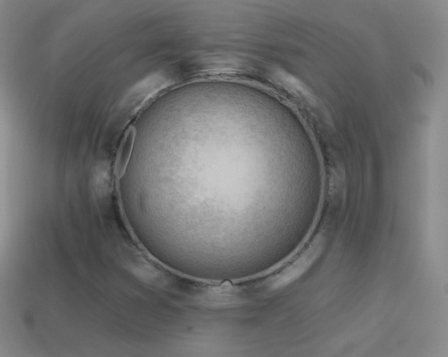 X0000114401353200910161306