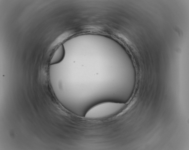 X0000114401354200910161306