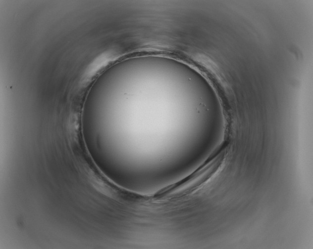 X0000114401355200910161306