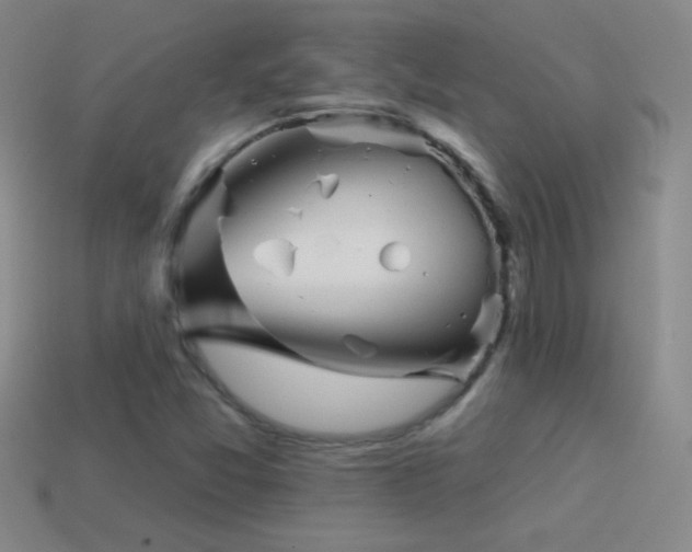 X0000114401357200910161306