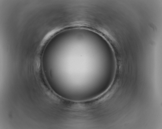 X0000114401358200910161306