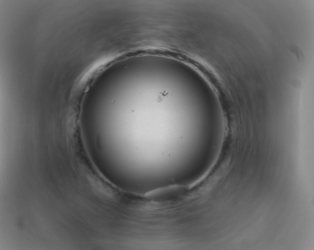 X0000114401359200910161306