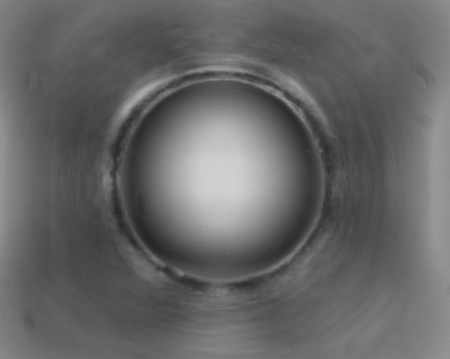 X0000114401360200910161306