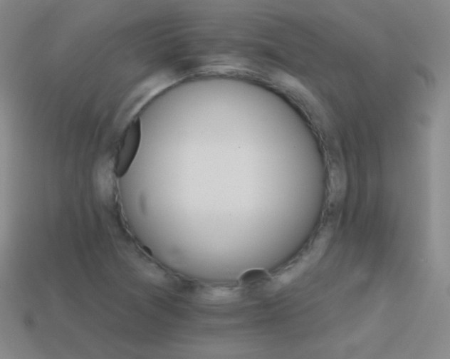 X0000114401361200910161306