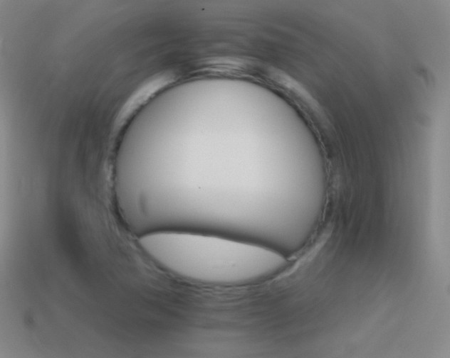 X0000114401362200910161306