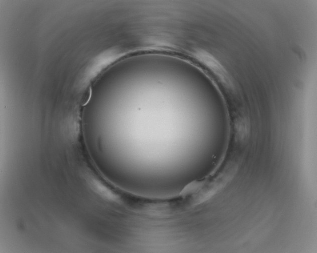 X0000114401363200910161306