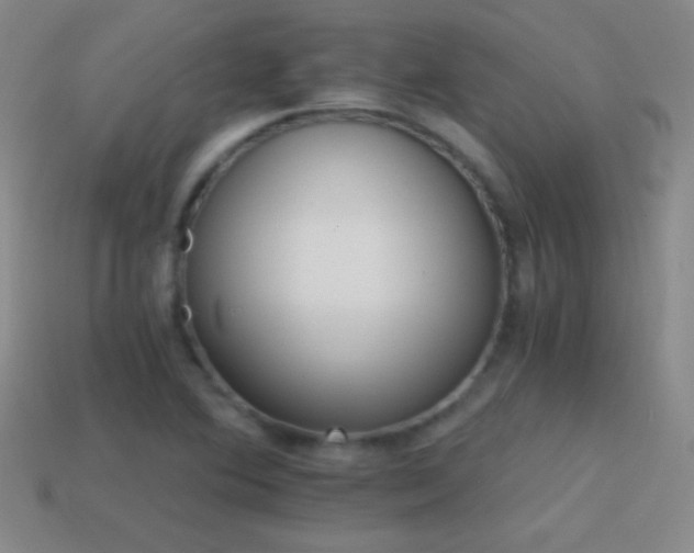 X0000114401364200910161306