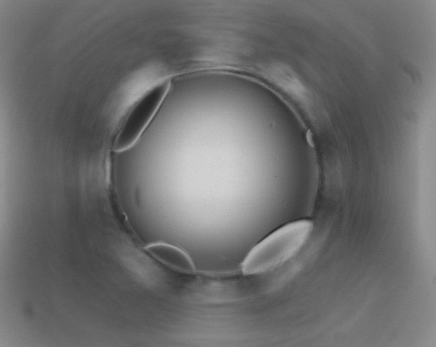 X0000114401365200910161306