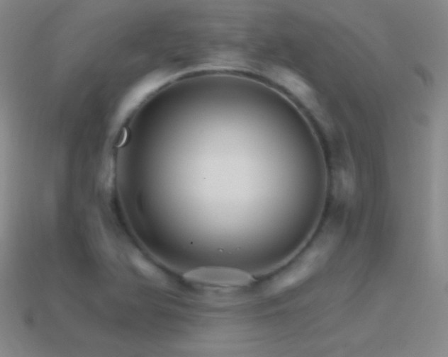 X0000114401366200910161306