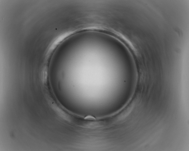 X0000114401367200910161306