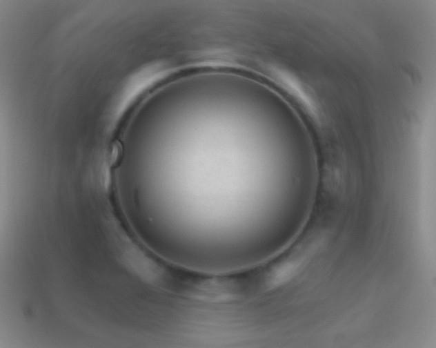 X0000114401368200910161306